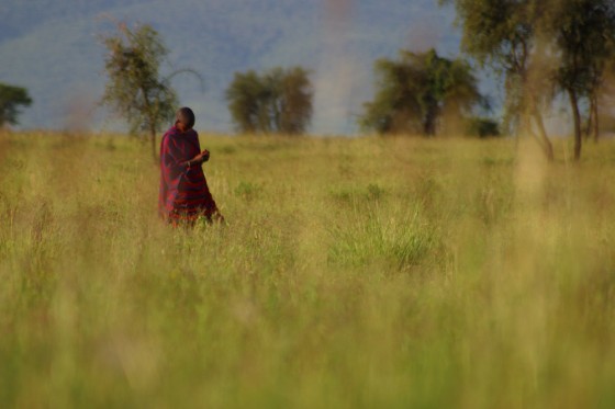 Masai - Tanzania